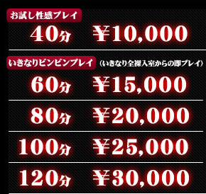 いきなりビンビン伝説の料金
