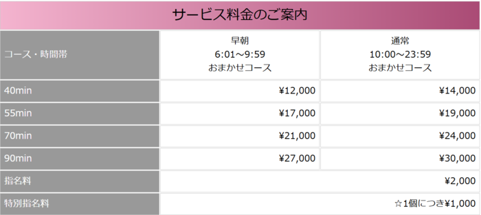 リッチドールフェミニンの料金