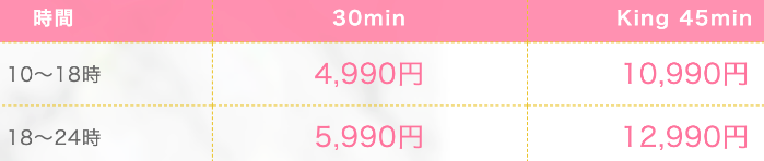 Zero Oneの料金