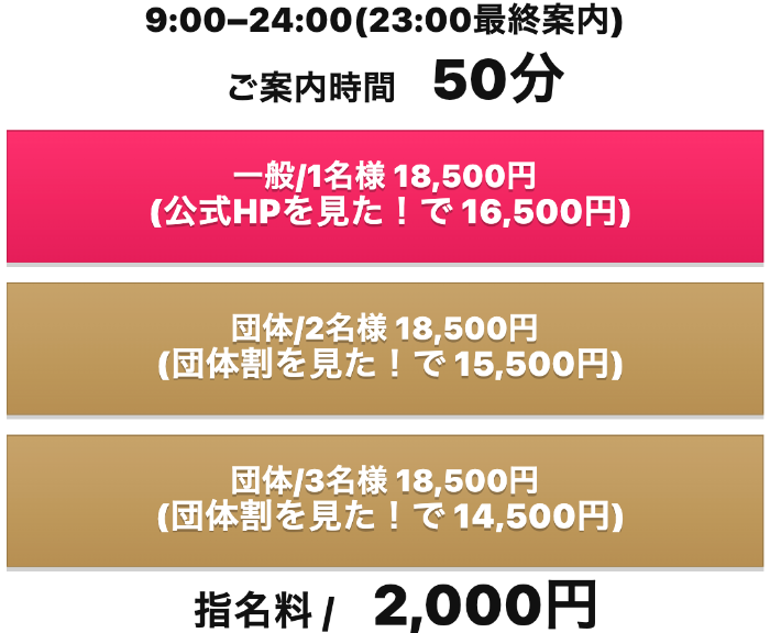 べっぴんコレクションの料金